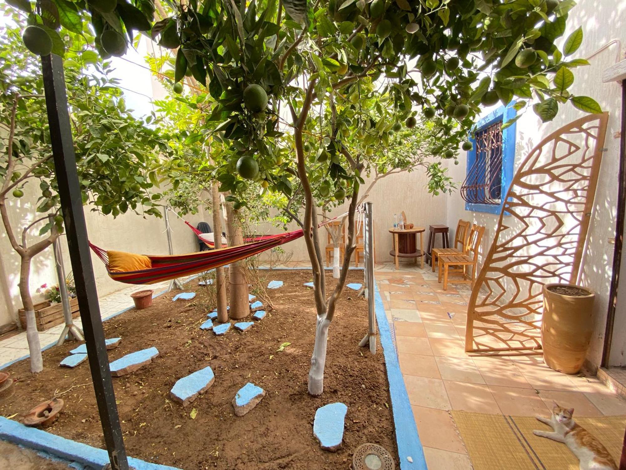 Hotel Red Carpet Surf Camp Sea, Mountain & Garden Escape Tamraght Exterior foto